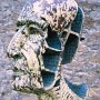 head